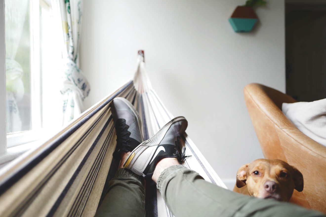 Man laying in hammock with dog laying head on lap
