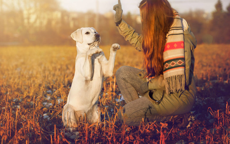 operant conditioning