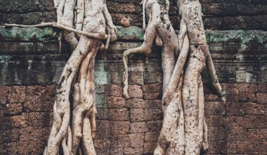 post-traumatic growth